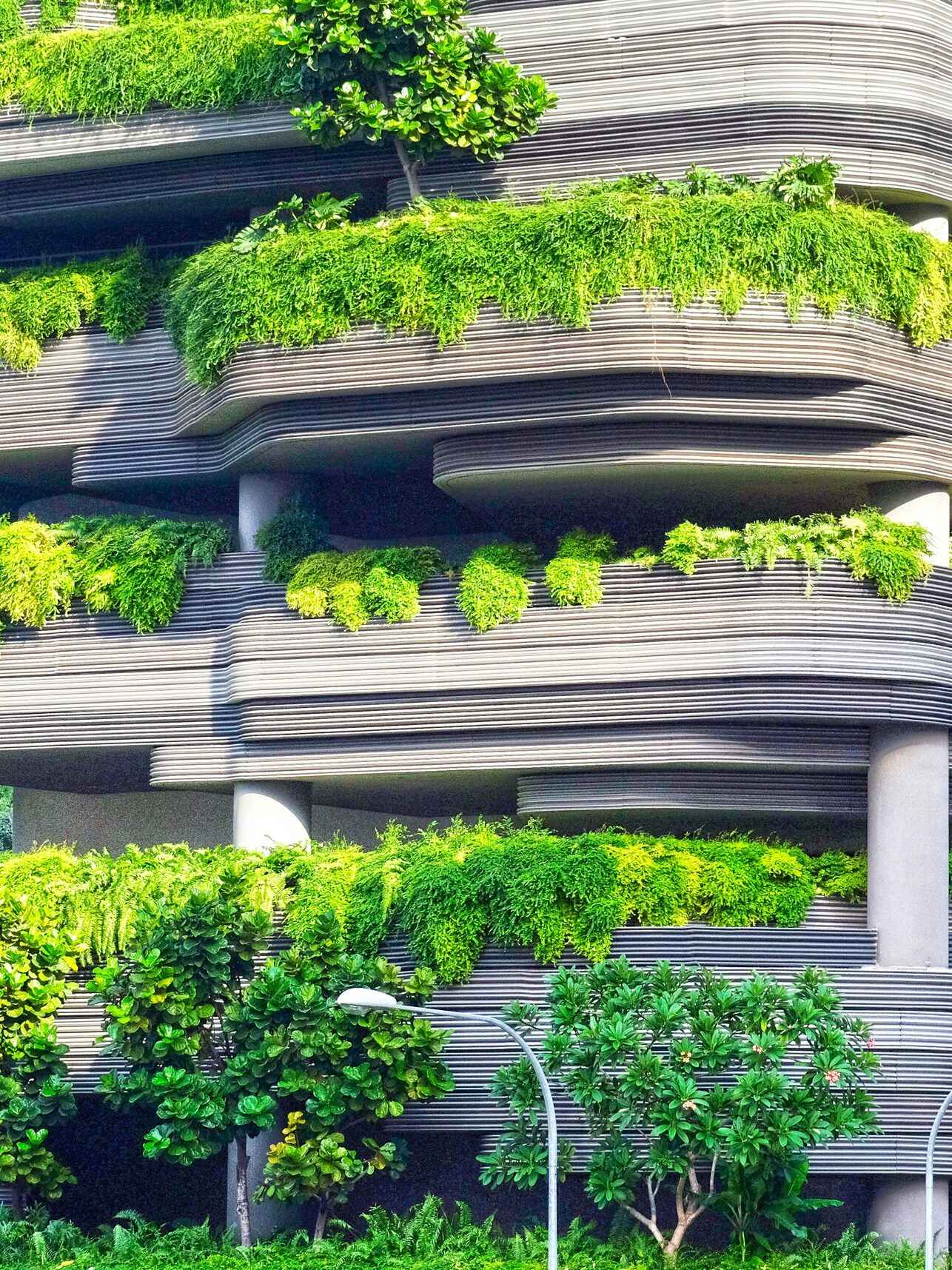 Gebouw met planten