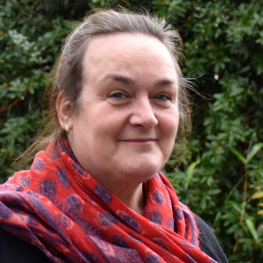 Rianne Jansens, Docent-onderzoeker Ergotherapie, PhD student P4Play