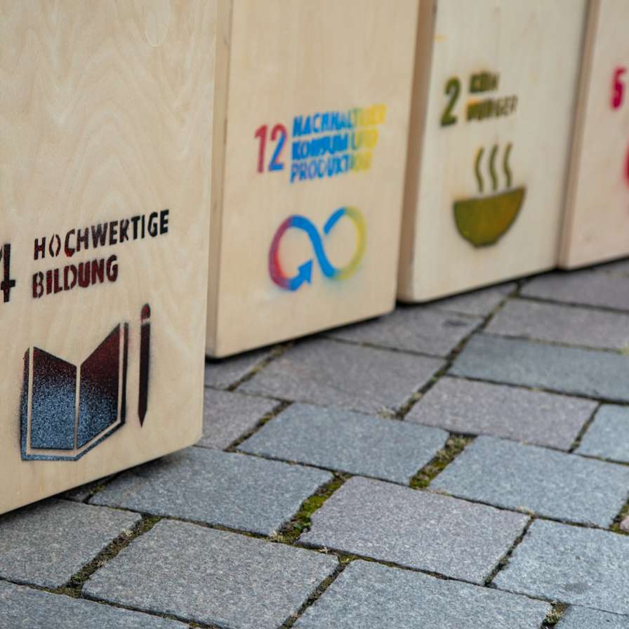 SDG's displayed.