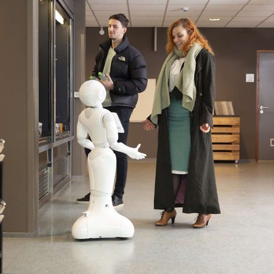 Sociale robot