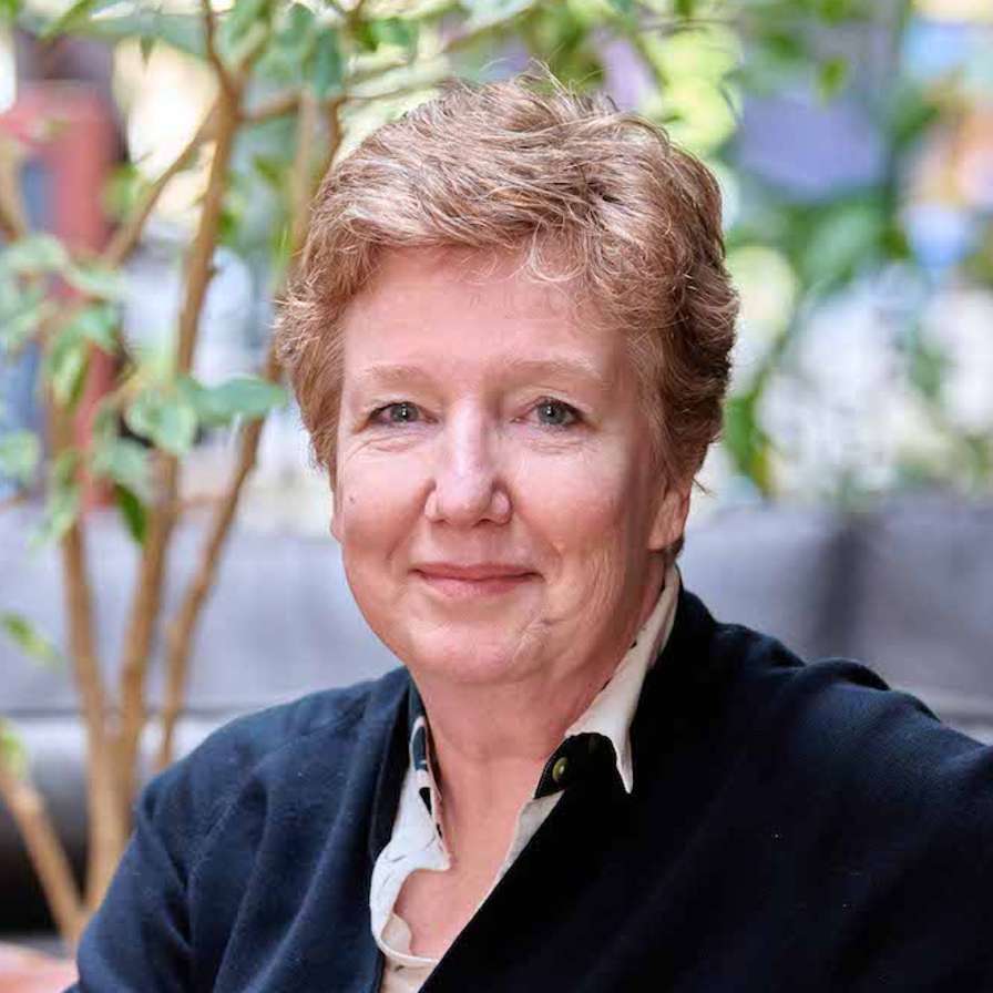 Frederique Paulus, bijzonder lector critical care