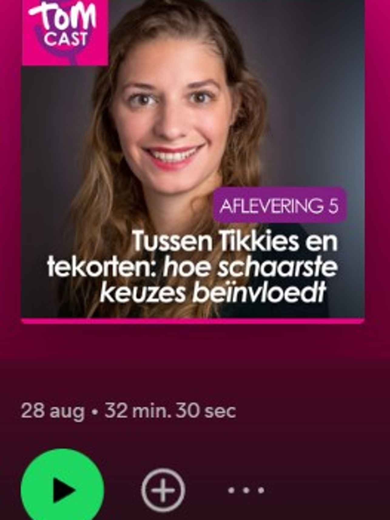 de schuldigen