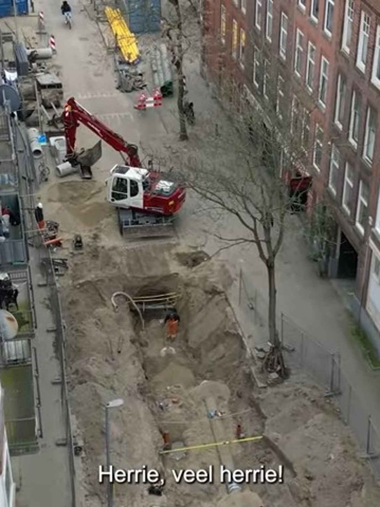 Bospolder-Tussendijken