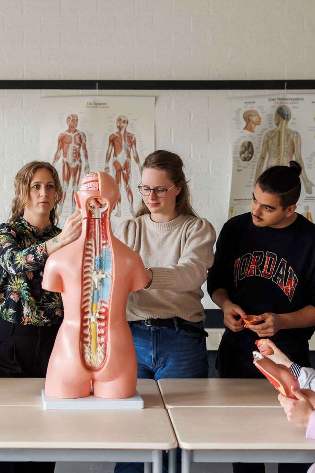 docent gezondheidszorg en welzijn geeft uitleg aan studenten m.b.v. een torsomodel