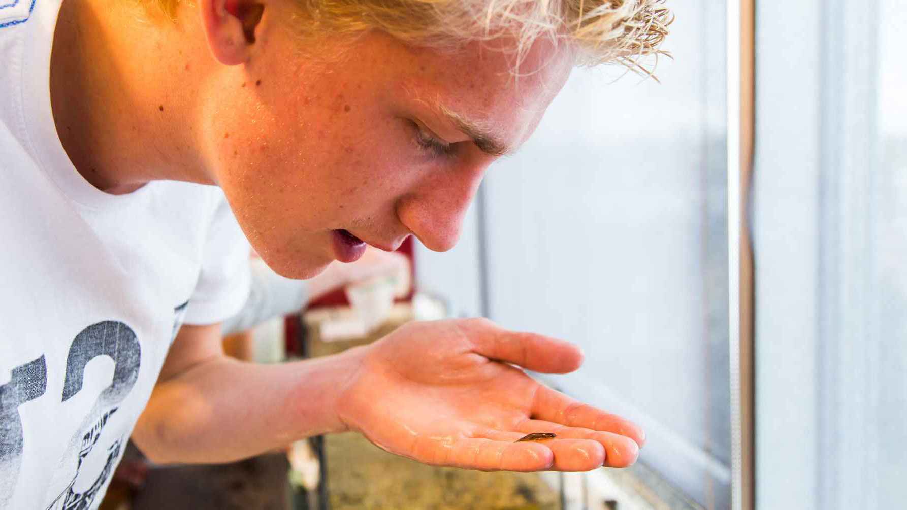 Student tijdens practicum