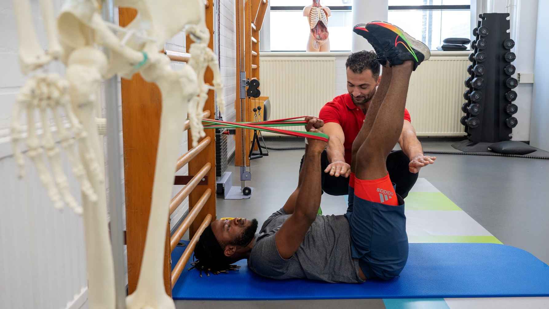 The programme European School of Physiotherapy