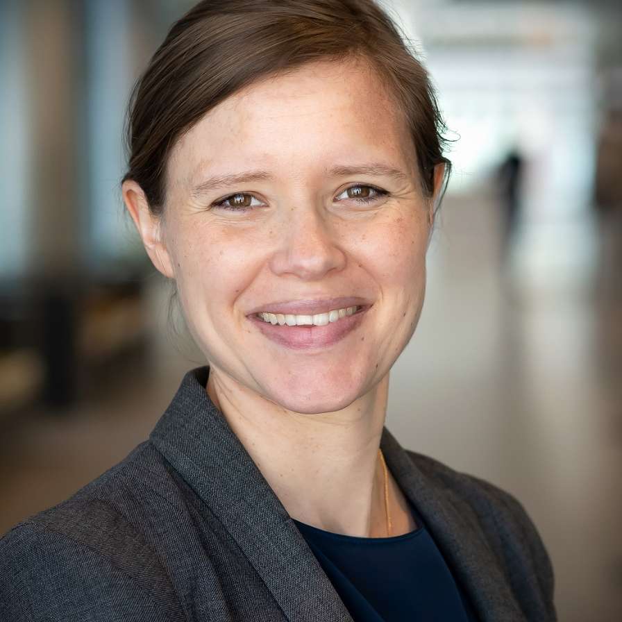 Anna Louise Custers, lector Armoede Interventies
