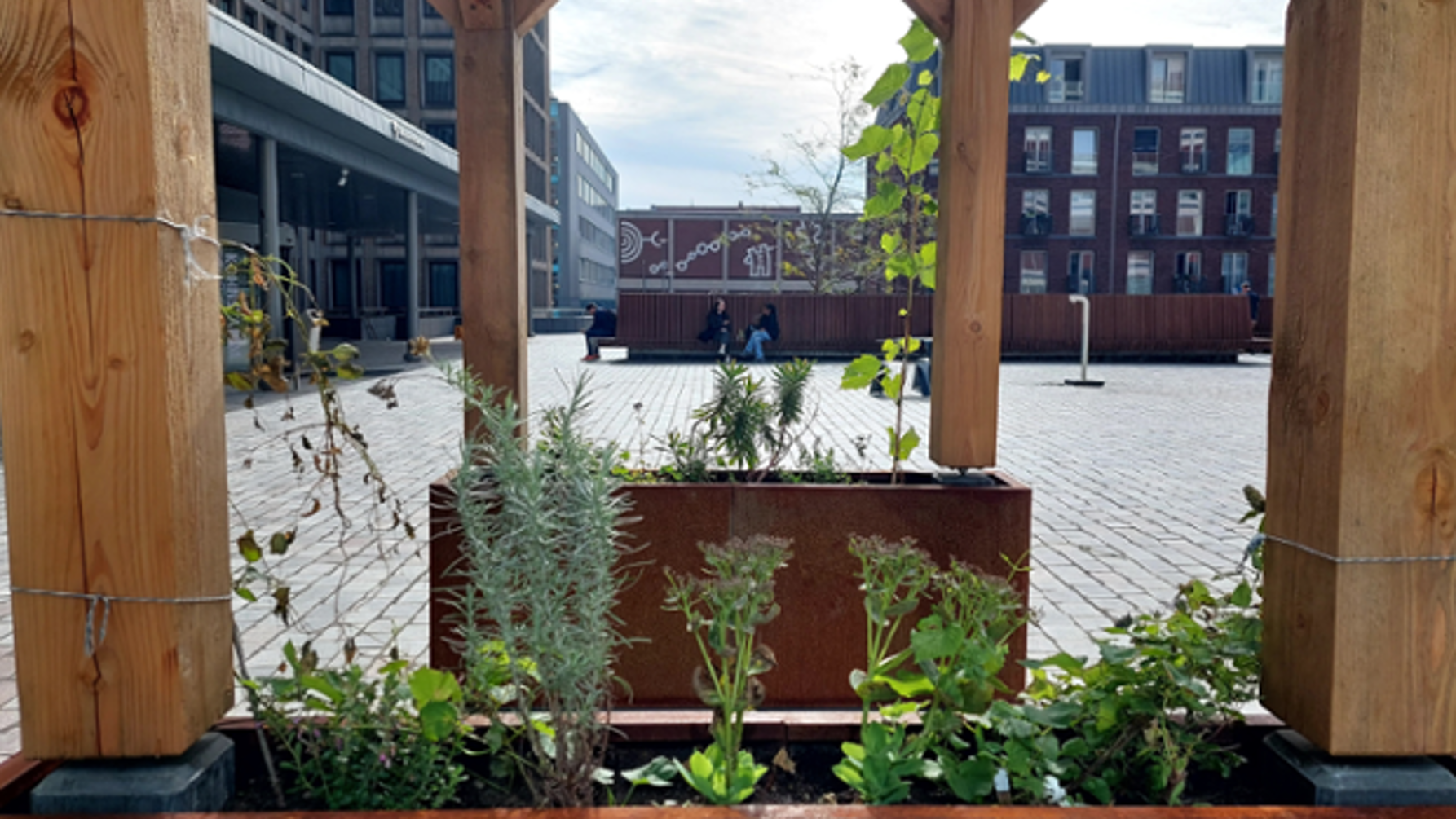 Stadspergola | CNZ | Klimaatbestendige stad