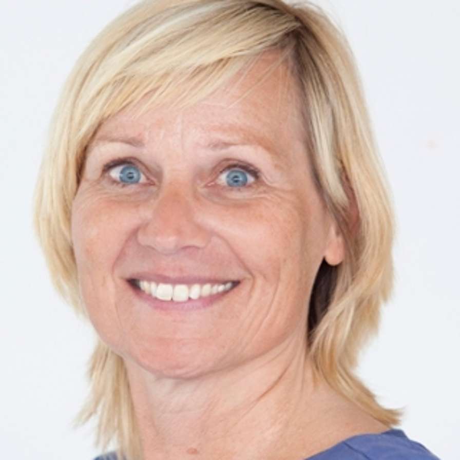 Liesbeth Verkuyl, Docent Onderzoeker lectoraat Langdurige zorg en ondersteuning