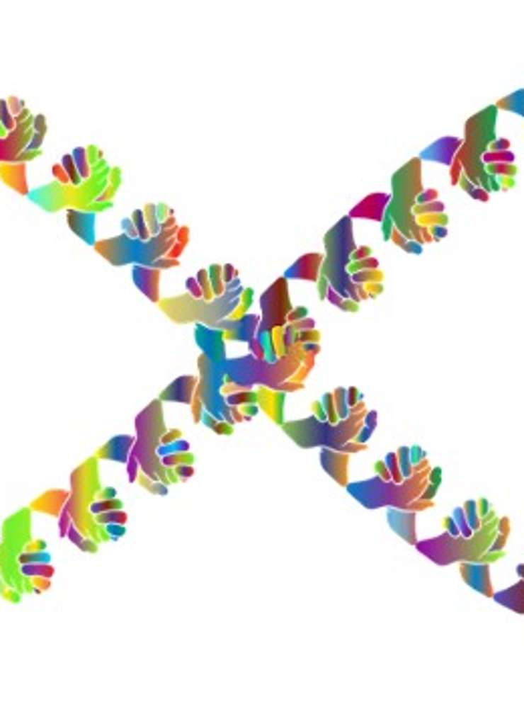 Project Diversiteit en Inclusie in het Hoger Onderwijs.