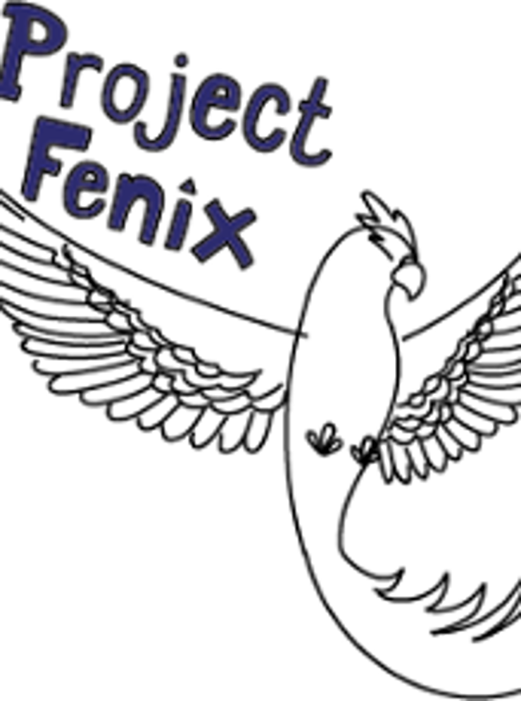 Project Feniks.