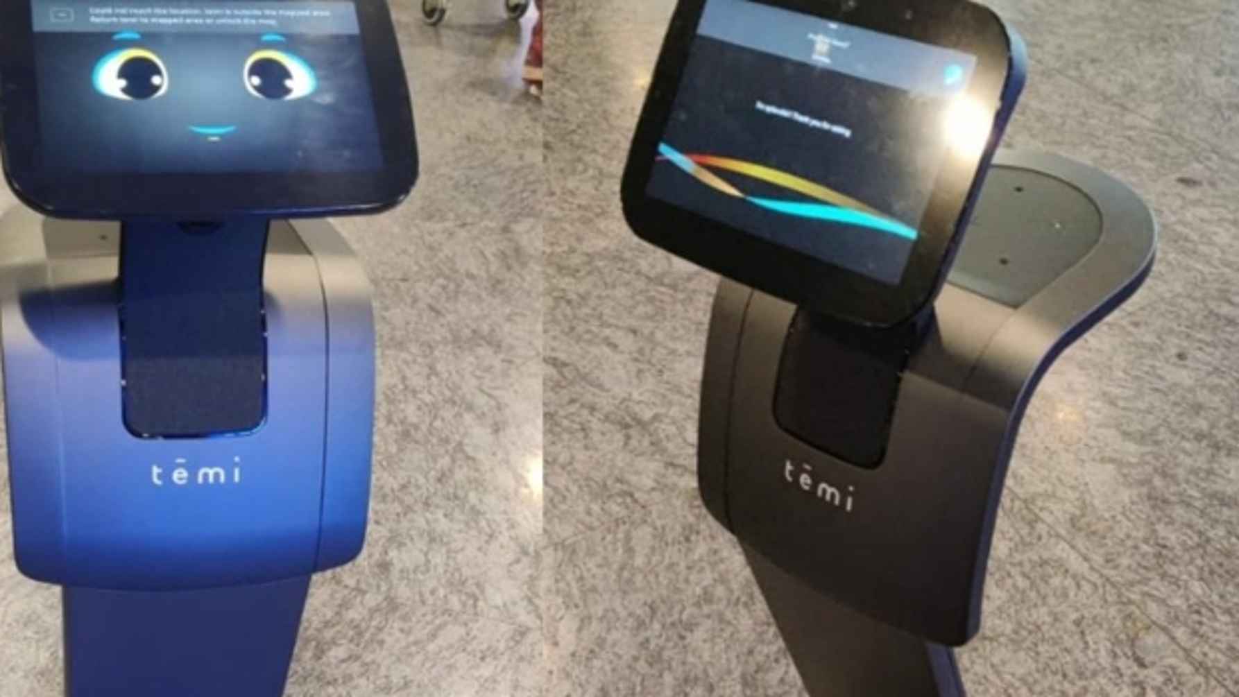 Social robots.
