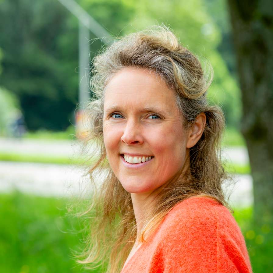 Annemijn Berghuis Bewegen in en om School HvA