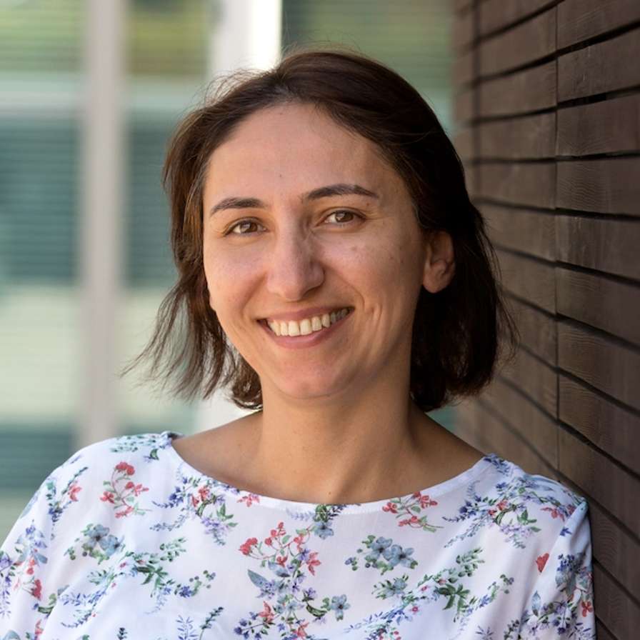 Halime Ozturk HvA docent onderzoeker opleiding Voeding en Diëtetiek Lectoraat Voeding en Beweging