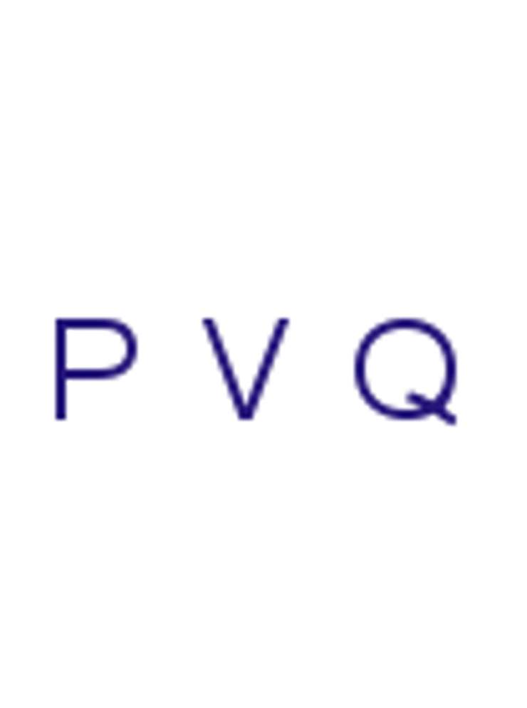 PVQ logo meetinstrument HvA