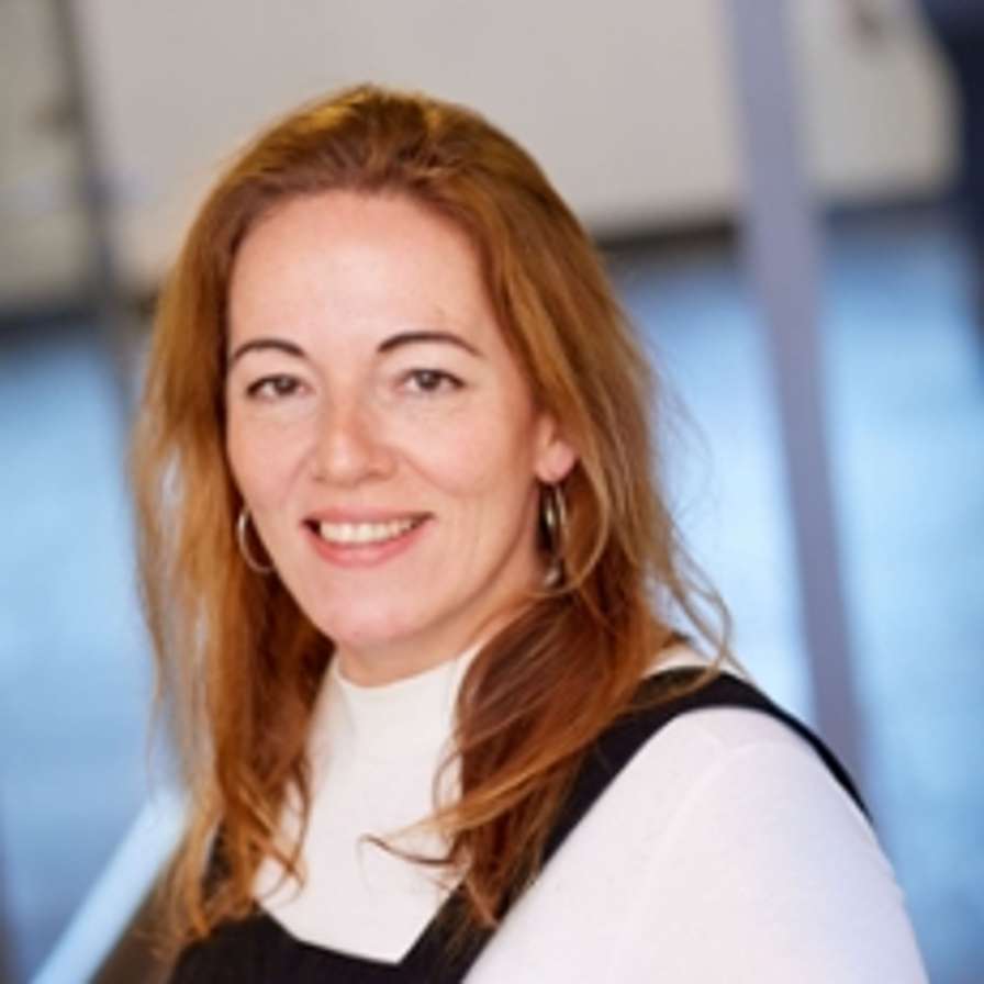 Berber Langelaan, Promovendus, docent-onderzoeker