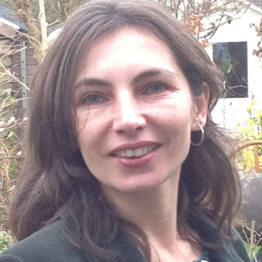 Daniela Polisenska, Programmaleider programmalijn Verborgen kennisbronnen