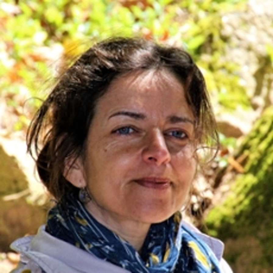 Sonia Abrantes Garcez Palha, Hoofddocent en onderzoeker, cluster Masters